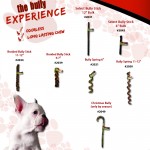 bully_experience1