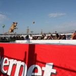 elreto3