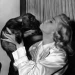 Doris-Day-and-the-Schnauzer-pup-given-her-by-director-Michael-Curtiz-appropriately-named-Mrs