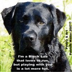 blacklab