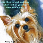 yorkie