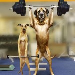 funny_weight_lifting_picture_10
