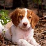 iStock_000001272766Small