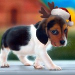 american_foxhound_puppies_pc_wallpaper-800x600